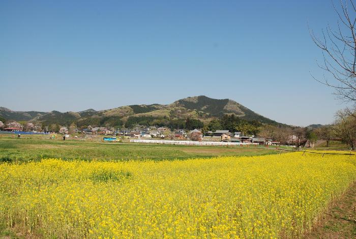 日和田山の写真