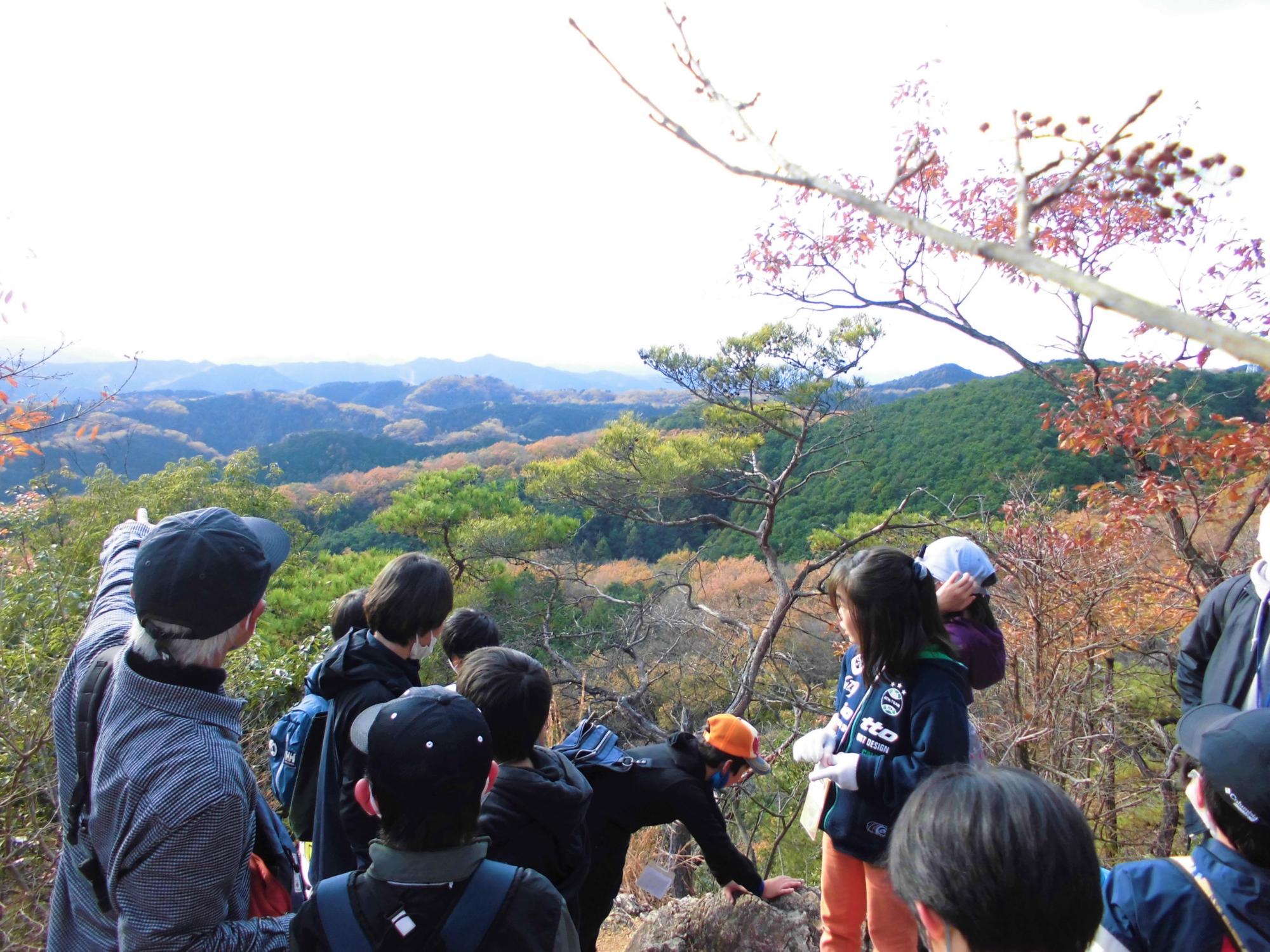 日和田山からの写真