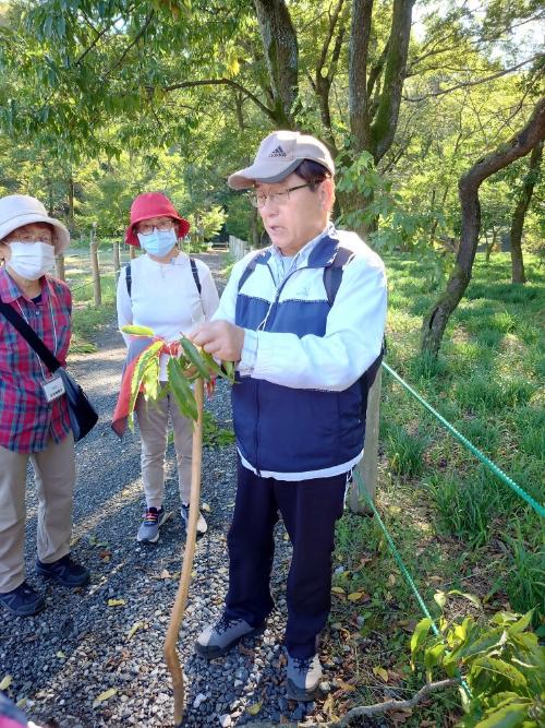 自然観察会「秋の七草を探そう」写真1