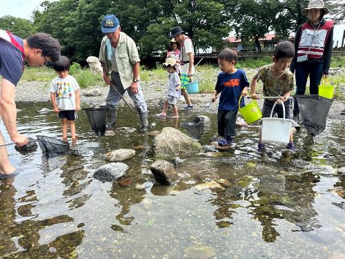 自然観察会「水生生物・昆虫観察」写真1