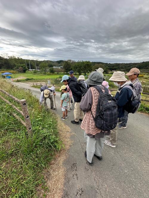 自然観察会「秋の七草を探そう」写真1