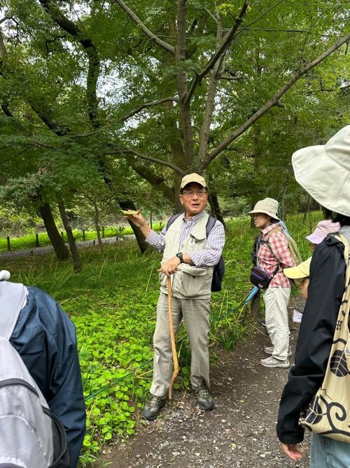 自然観察会「秋の七草を探そう」写真2