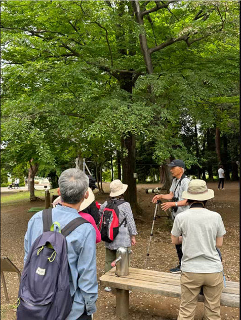 昨年度の自然観察会の様子