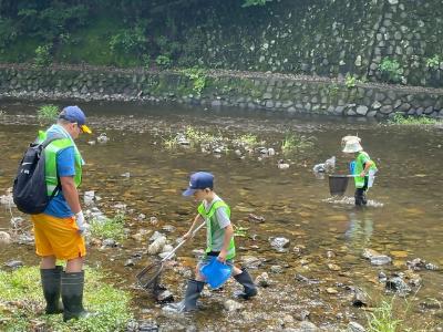 子どもたちが川で水生生物を探している様子