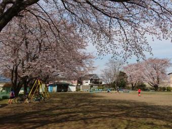 南平沢地内のちびっ子広場で遊ぶ子どもたち