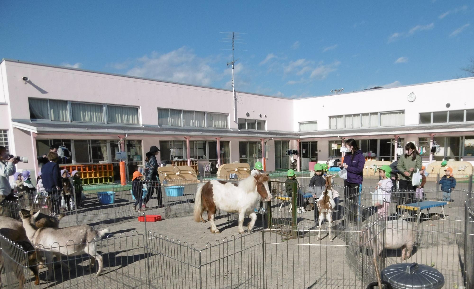 園庭が動物園になっているところ