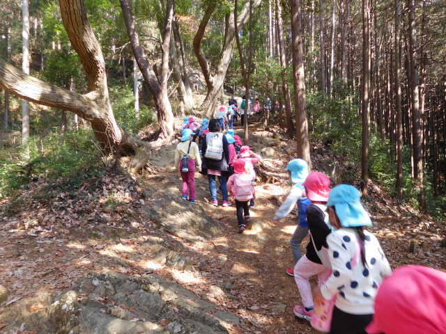 子どもたちがお別れ遠足で日和田山を登っているところ