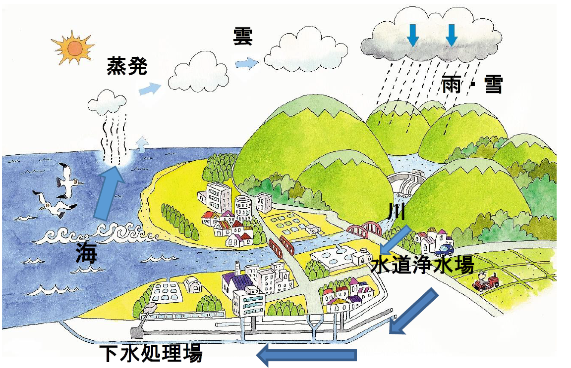 循環図