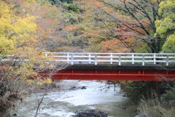 (イメージ)10月の定例健幸ウオーキング「秋の横手渓谷を歩く」(高麗川・高麗川南公民館)【10月16日開催】