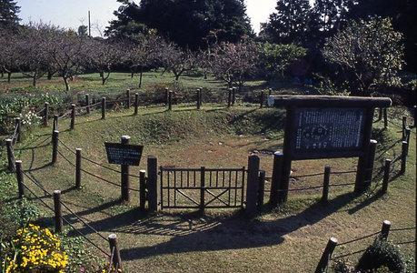 日高市の国指定重要文化財の高麗石器時代住居跡の写真