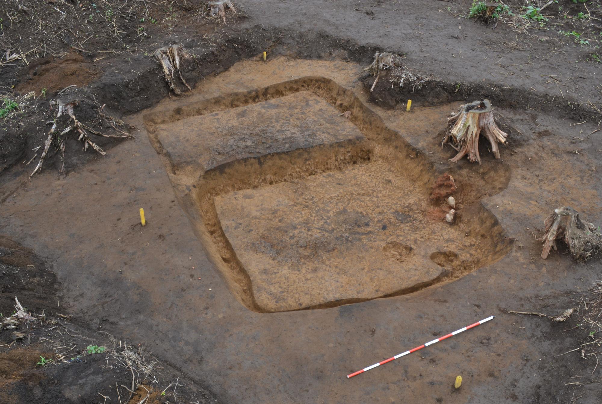 miyakubosite