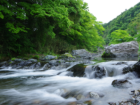 奥武蔵の山々の中を流れる高麗川