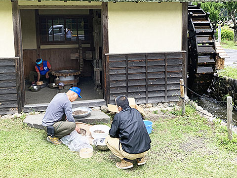 巾着田サポーターズの皆さんがそばの実を水車小屋の臼でひくために準備している様子