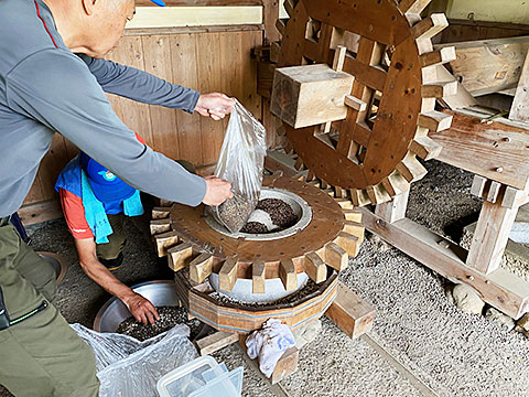 水車小屋のうすでそばの実をひく様子