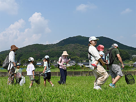 日和田山を背に巾着田を歩く親子