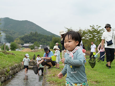 巾着田内の用水路に住む生き物を観察する子どもたち