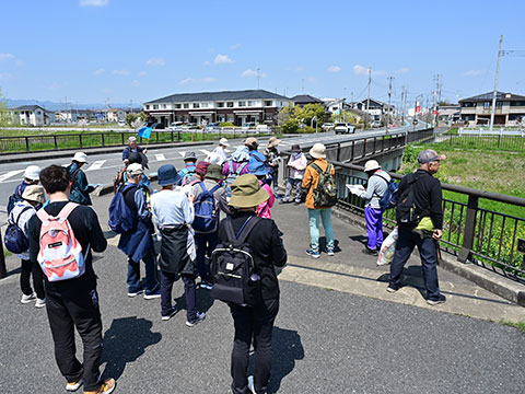 青空の下、道路沿いに集まる参加者