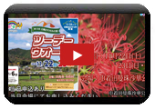 第12回日高かわせみの里ツーデーウオークを開催します!