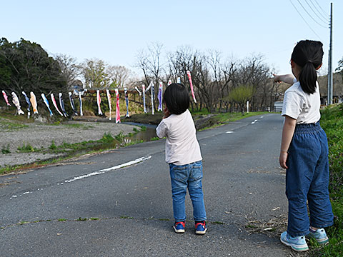 巾着田で泳ぐ鯉のぼりを見る子どもたち