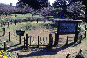 高麗石器時代住居跡