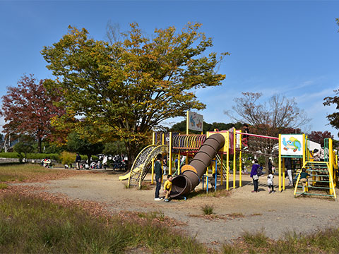 たくさんお笑顔広がる総合公園
