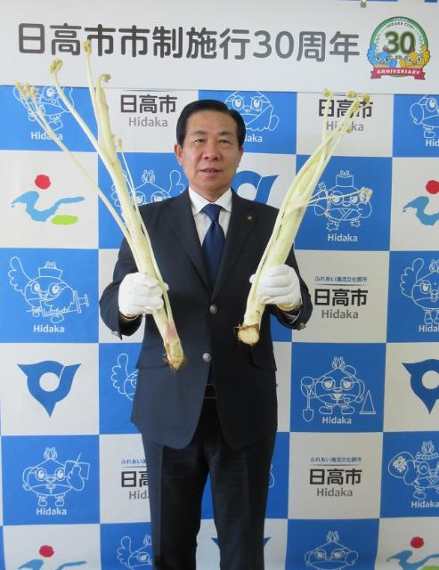 今が出荷のピークを迎える日高市の特産品「軟化うど」を両手に持って笑顔の谷ケ崎市長