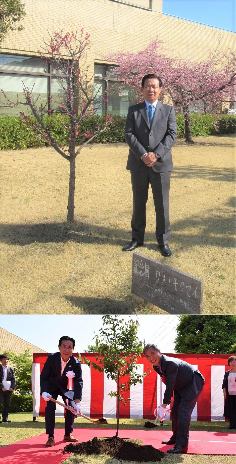 平成8年10月1日の友好都市締結調印から20周年を記念し、平成28年に烏山市の市の木である梅を植樹する郭相旭烏山市長と谷ケ崎市長