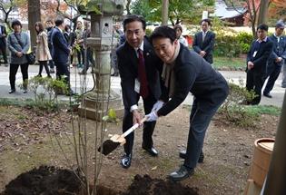 高麗神社でムクゲの植樹の写真