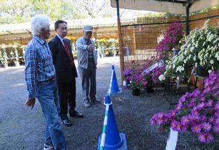 第44回菊花展の写真1