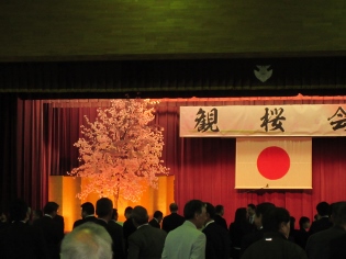 入間基地観桜会の写真