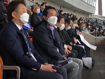 試合観戦