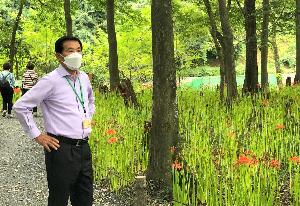 現地確認