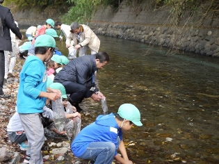 ウグイの放流高麗小3年生の写真