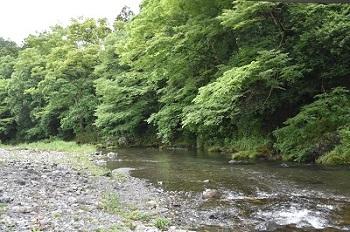 横手渓谷の風景の写真