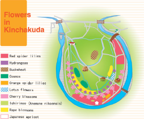 kinchakuda map