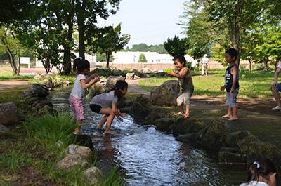 せせらぎ水路の写真