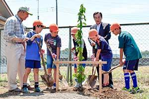 桜の記念植樹の写真