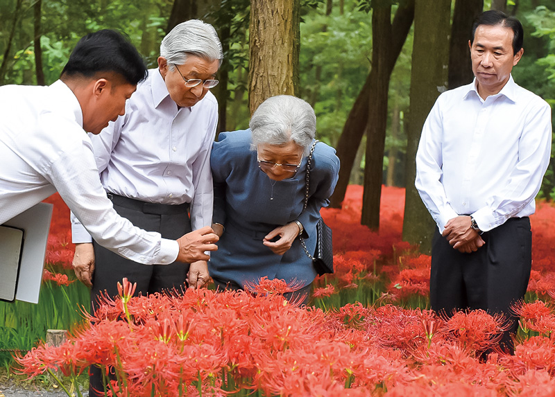 曼珠沙華を観賞される両陛下。