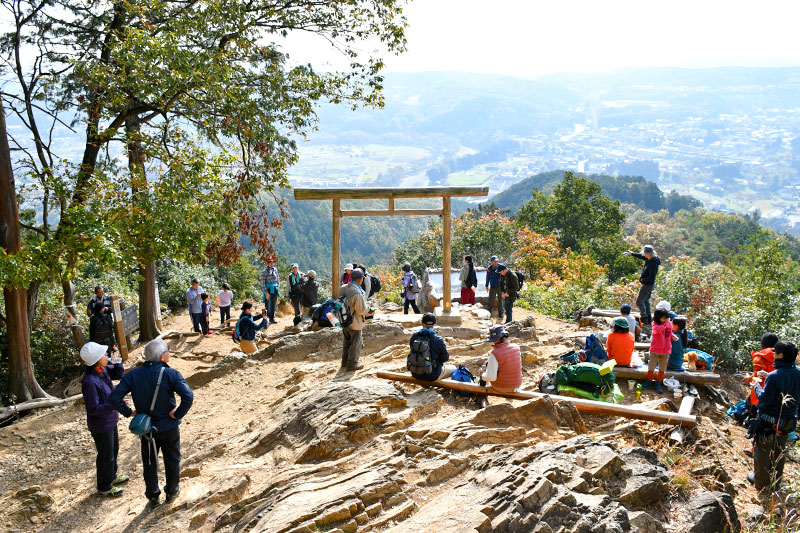 巾着田を臨む