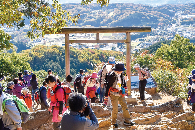 日和田山から巾着田を臨む