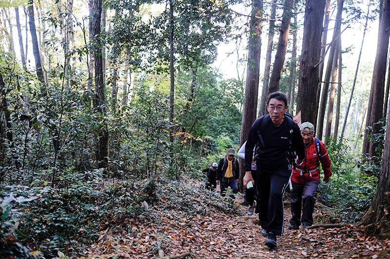 山登り