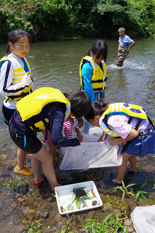 水中生物の観察