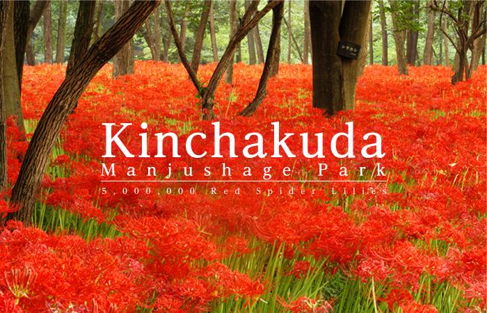 kinchakuda photo