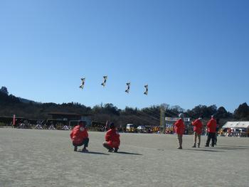 スポーツカイト1