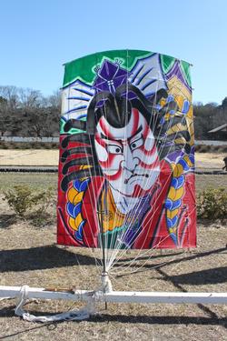 会場に展示した凧