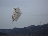埼玉土建の大凧「スレッド」