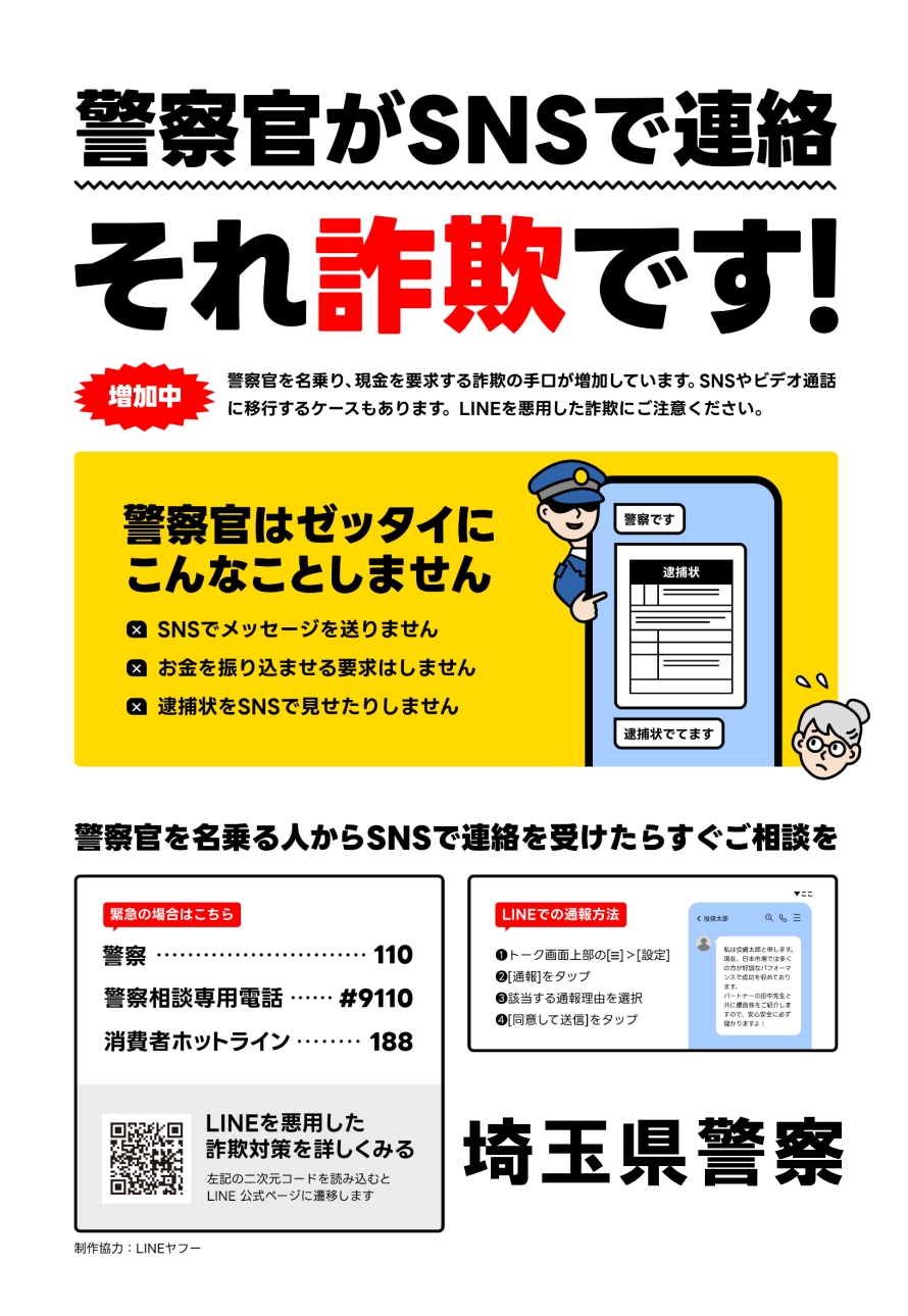 それ詐欺ですのちらし