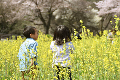 花畑にいるこどもの画像