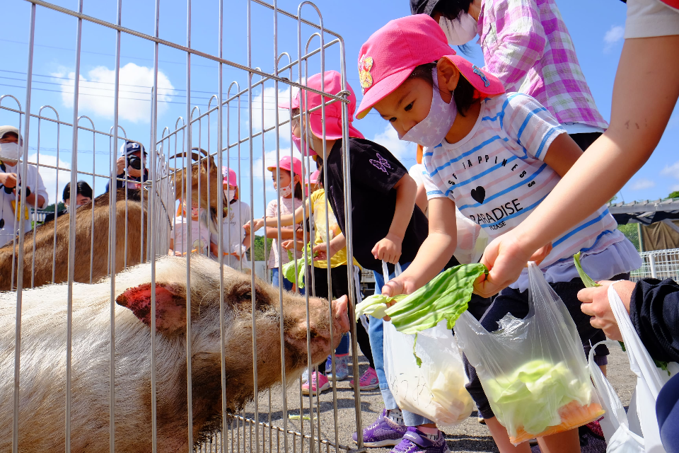 動物に餌をあげるこどもの画像