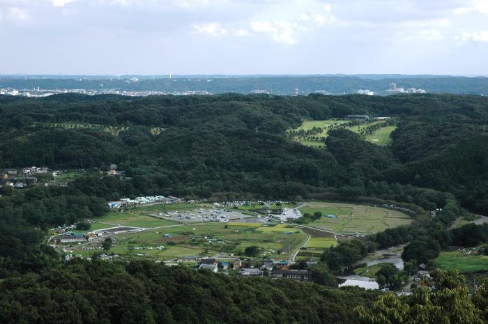 日和田山から見た巾着田